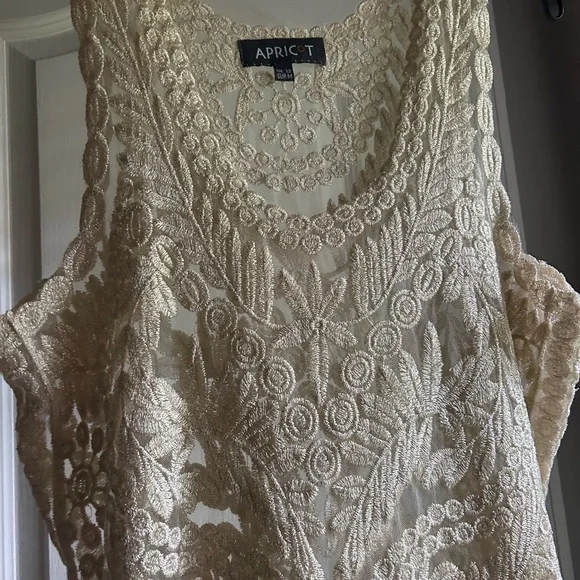 APRICOT Sheer Metallic Sparkle Embroidered Tank Top Fairy Whimsigoth Boho | Sz M - Picture 11 of 16